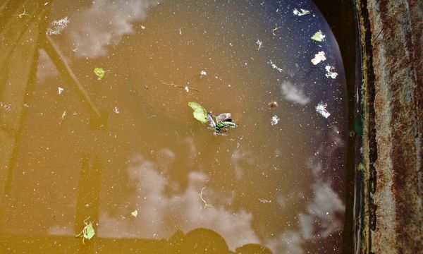 赤ちゃんがいるママは絶対に損しないコスパ最強のウォーターサーバーが時短もできて本当に便利だった！